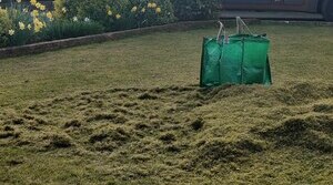 lawn scarification