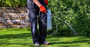 lawn weed control