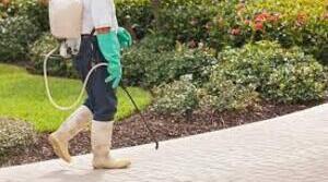 Weed & Moss Control